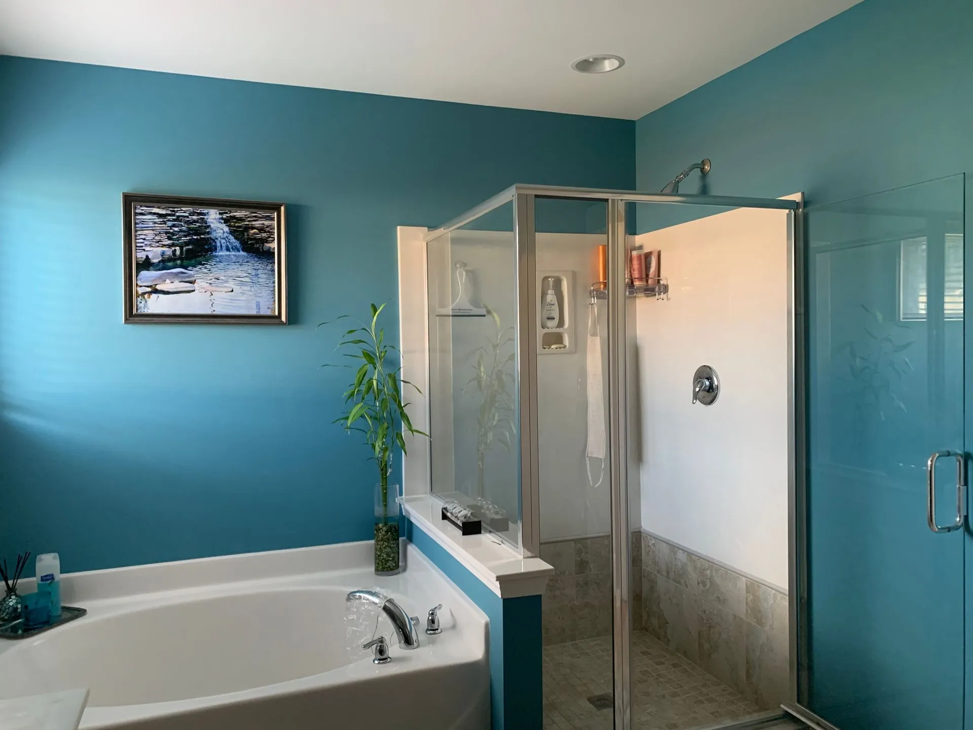 Blue bathroom with a tub, shower, and framed art.
